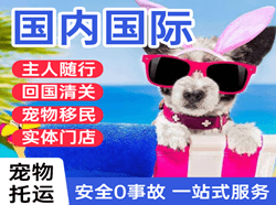 青岛机场物流国际宠物托运 【国